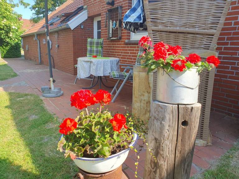 foto18