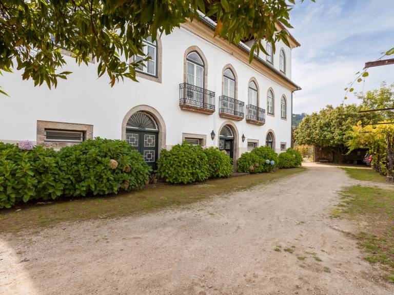 foto46