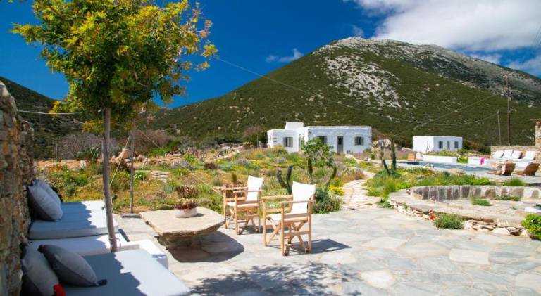 Beautiful villa with pool | Pets are welcome — photo 4