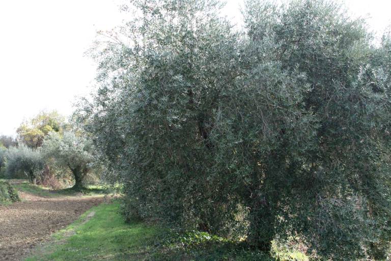 foto17