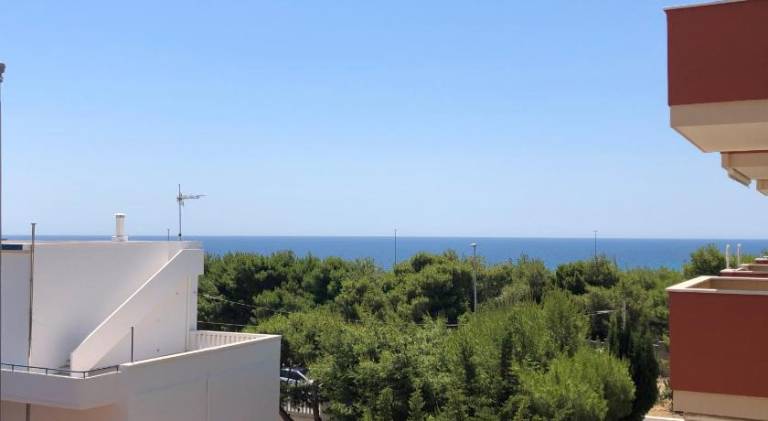 Charming house | Close to the beach | Pets allowed — photo 4