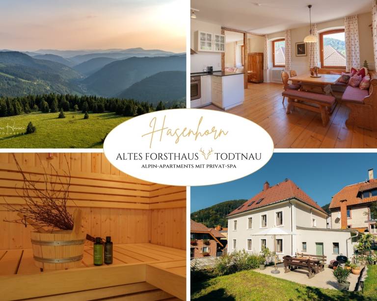 Ferienwohnung in Todtnau f&uuml;r max. 10 Personen