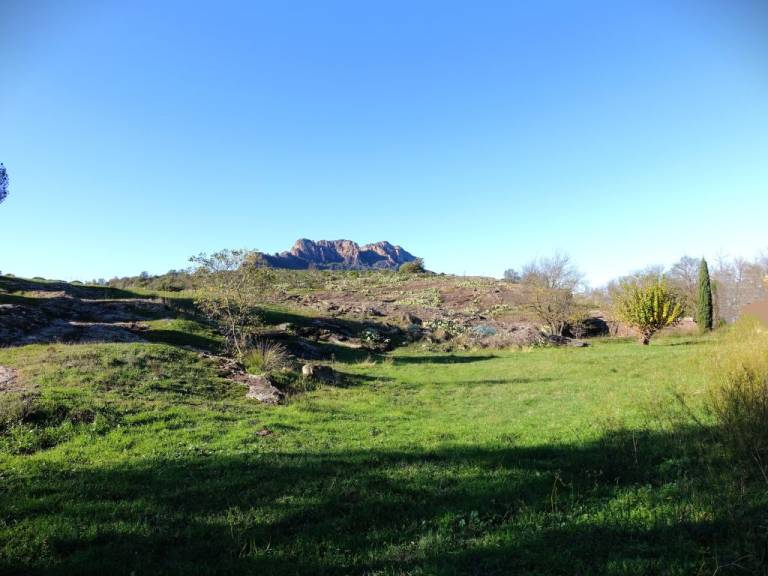 foto38
