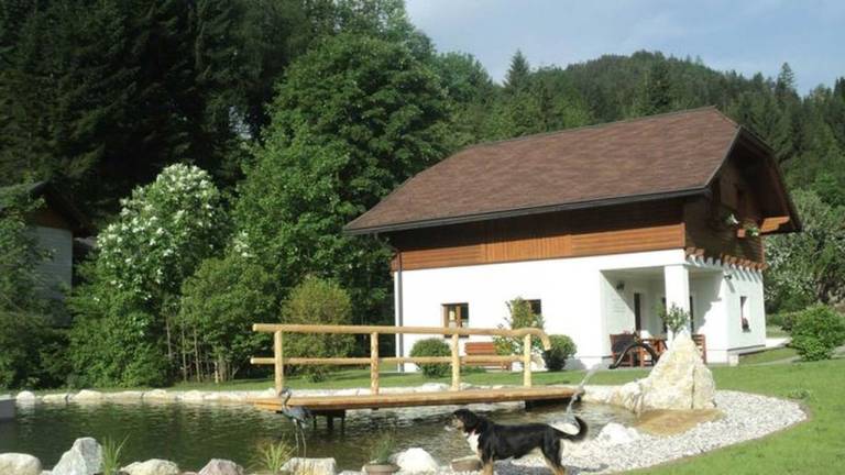 Ferienhaus Eisenwiesen