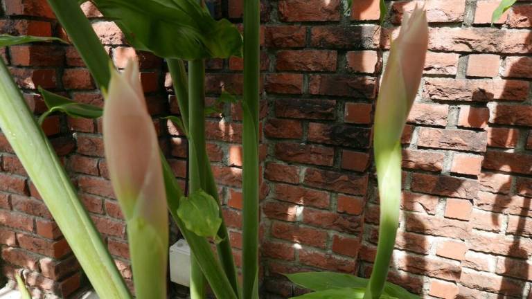 foto44