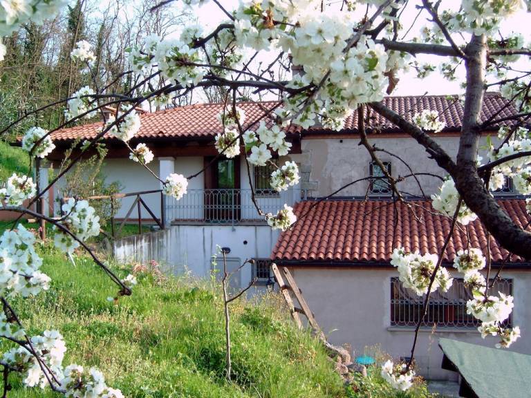 Appartamento  Monselice