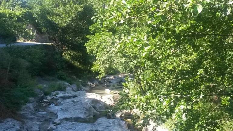 foto15