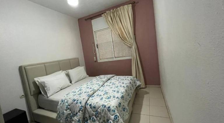 Ample holiday apartment | Pets are welcome — photo 2