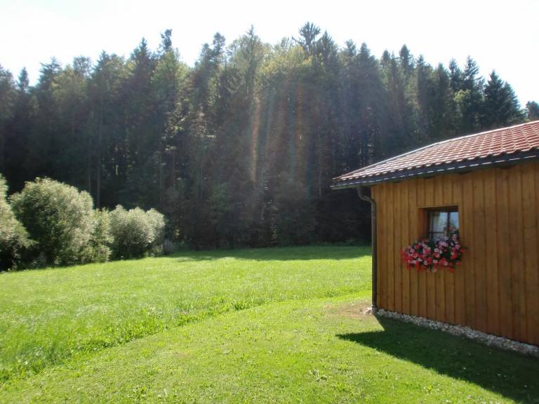 foto16