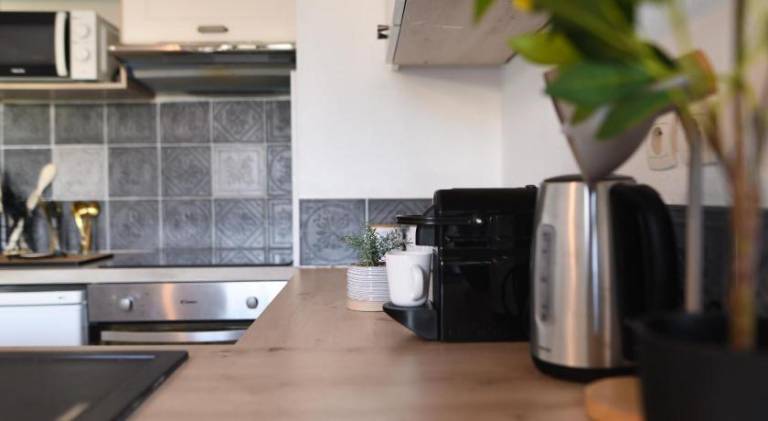 Rental apartment with terrace — photo 4