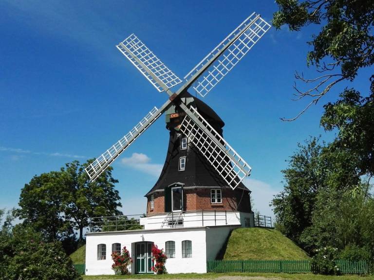 foto20