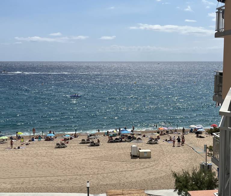 Family-oriented holiday apartment with patio | Beach view | Beach nearby | Pet-friendly — photo 3