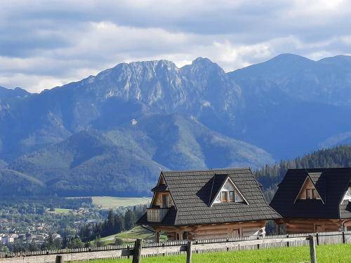 Domek w stylu alpejskim Suche