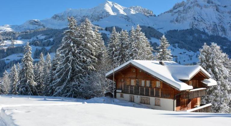 Holiday apartment with 2 rooms for 4 persons in Adelboden