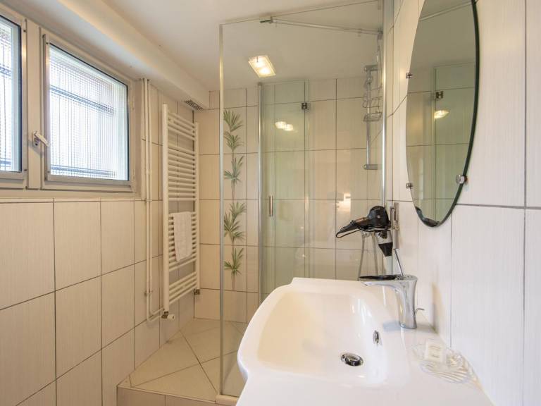 Room Châteauneuf: Rustic Charm with Private Terrace and Wifi in Saint-Benoît-sur-Loire — photo 3
