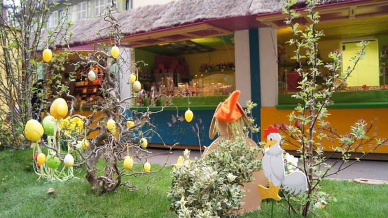 foto15