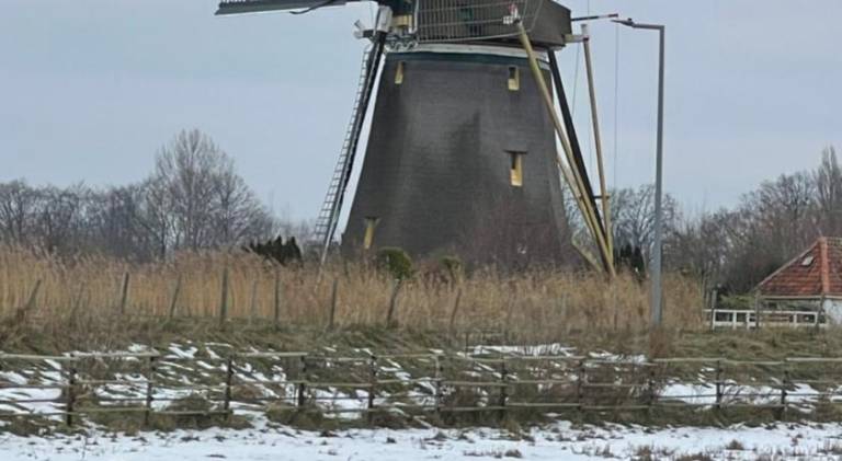 foto17