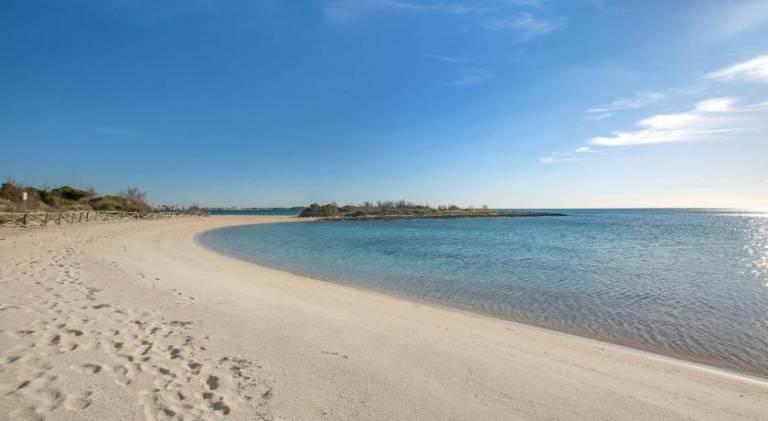 Apartment with patio & yard | Next to the beach | Pets are welcome in Porto Cesareo