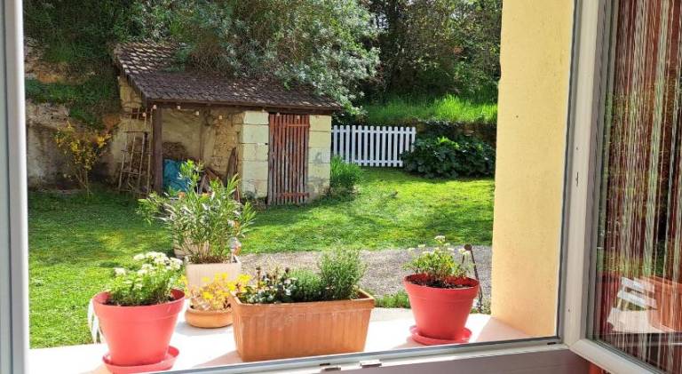 House with yard — photo 5