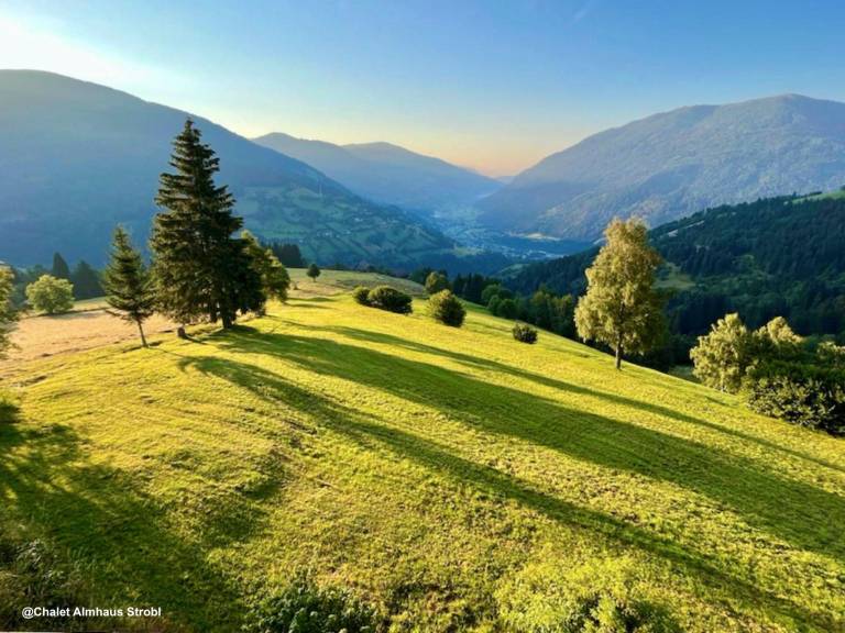 foto8