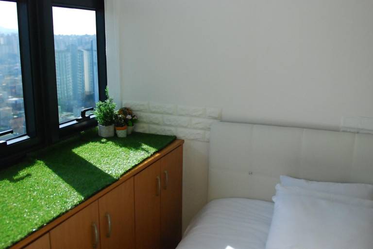 foto19