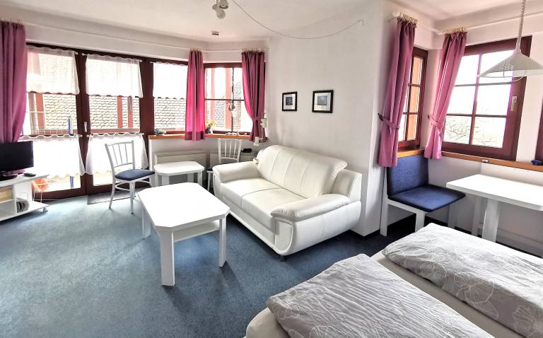 Fischerdorf SEE 4 BodenSEE Apartment Kressbronn