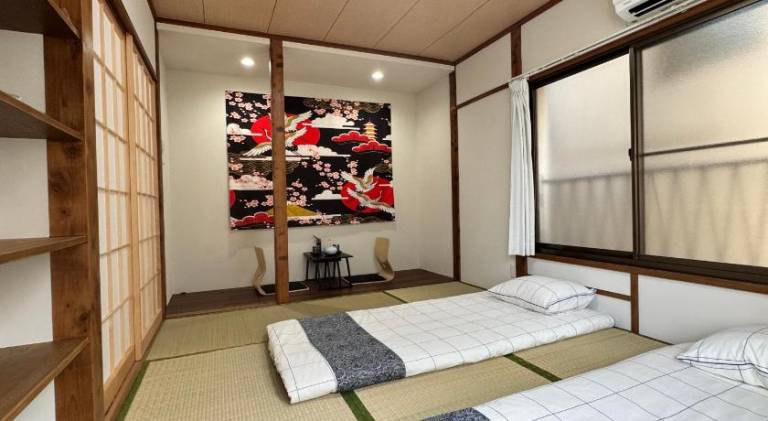 Akihabara, Skytree, Disney, Asakusa Temple, Traditional Japanese Ryokan, Airport Pick-up and Drop-of in Tokyo