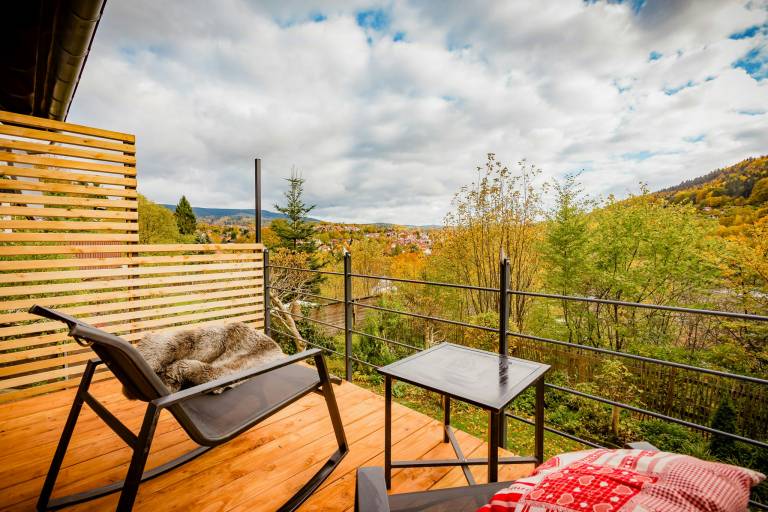 Modern chalet with sauna near Thuringian Forest — photo 4
