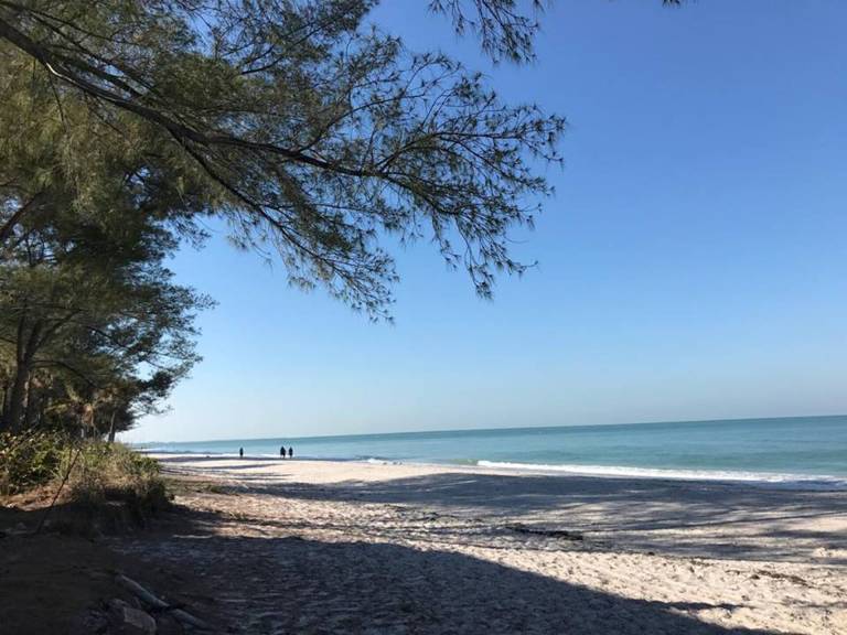 Condo Saint Pete Beach
