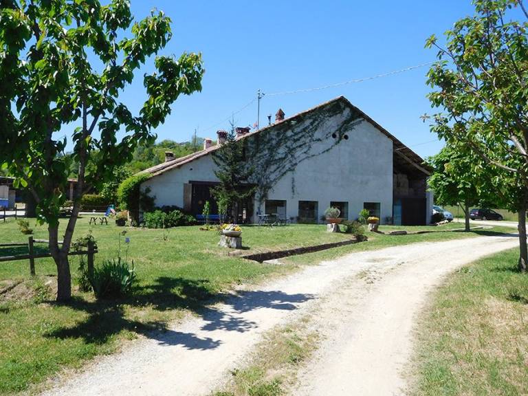 La Tilia: Camera Gialla — photo 4
