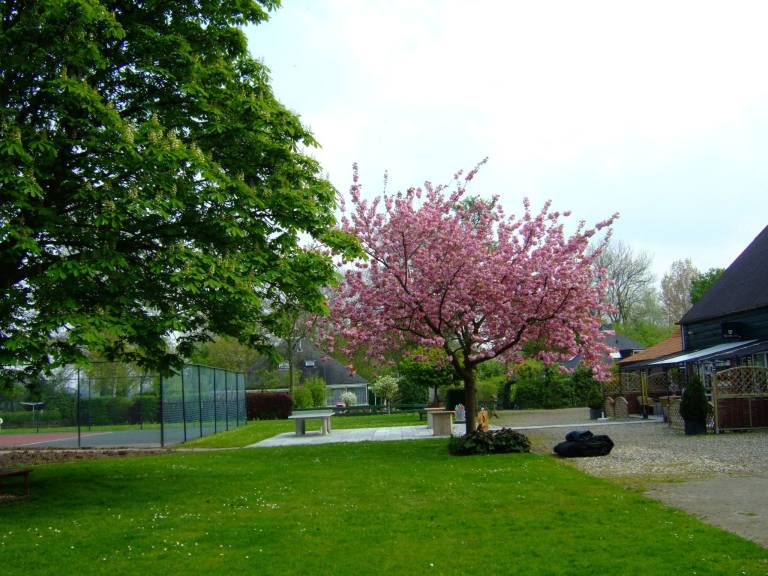 foto12