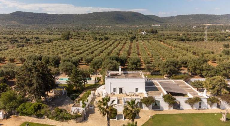 Farm with terrace, yard & pool in Fasano