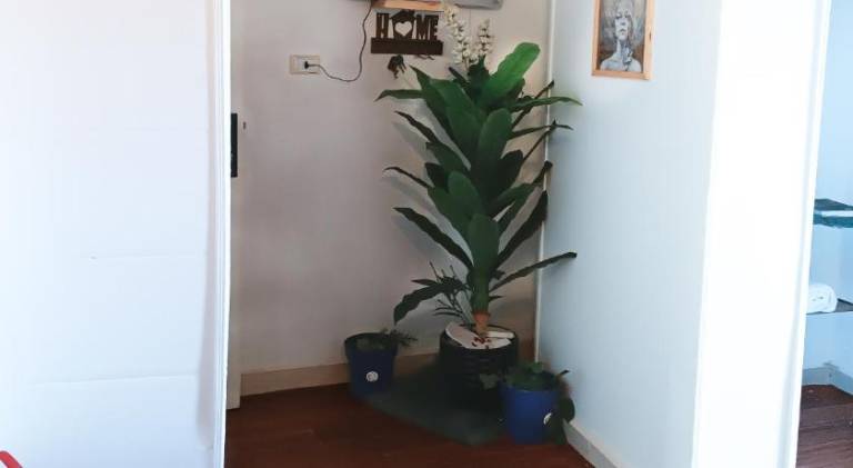foto31