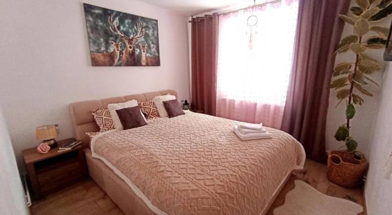Holiday apartment with 1 room for 4 persons — photo 2