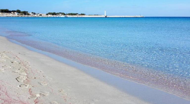 Apartment | Pets allowed in San Vito Lo Capo