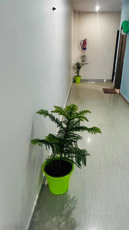 foto6