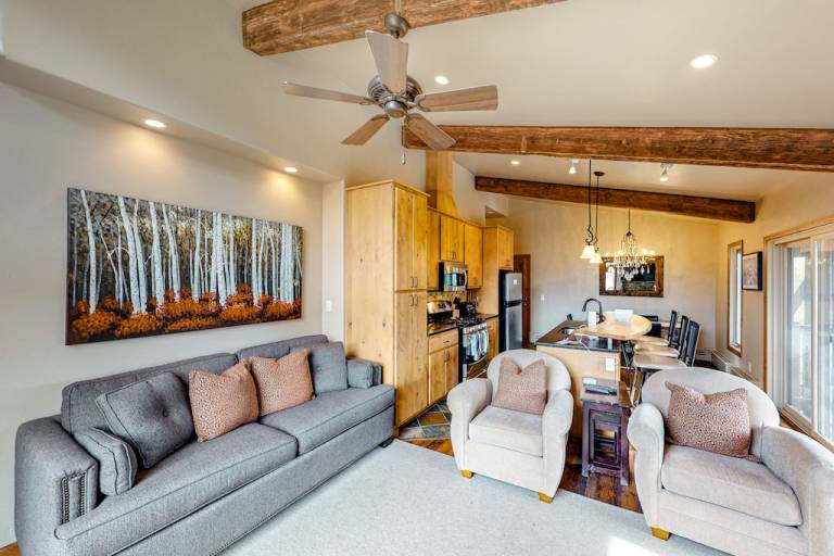 House  Aspen