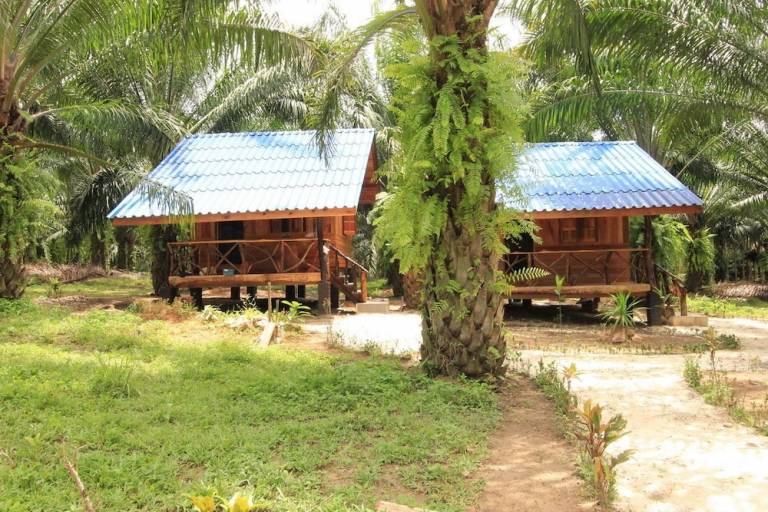 Resort  Khlong Sok