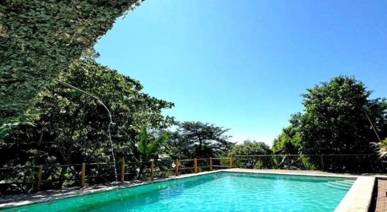 Finca San Antonio — photo 3