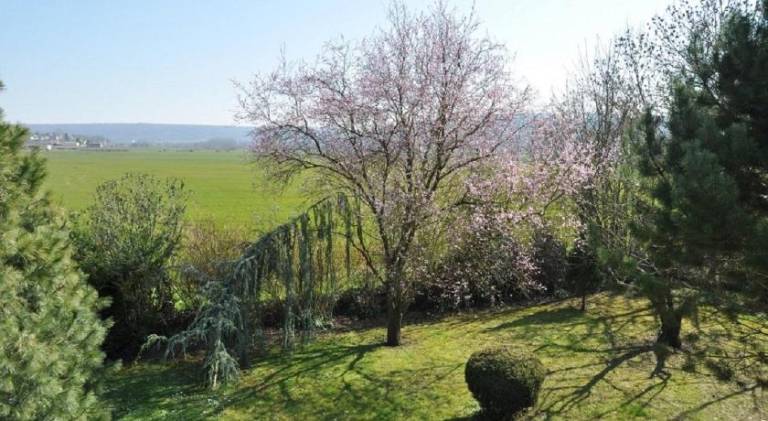 Holiday apartment with 1 room for 4 persons — photo 4