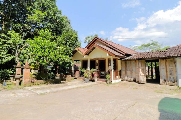 foto2