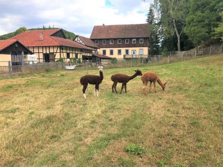 Ferienhaus Meiningen