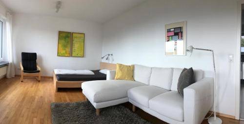 foto19