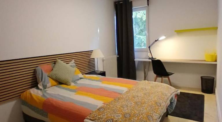 Holiday apartment | Pets are welcome — photo 4