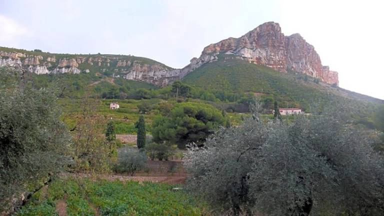 Bed & Breakfast Cassis