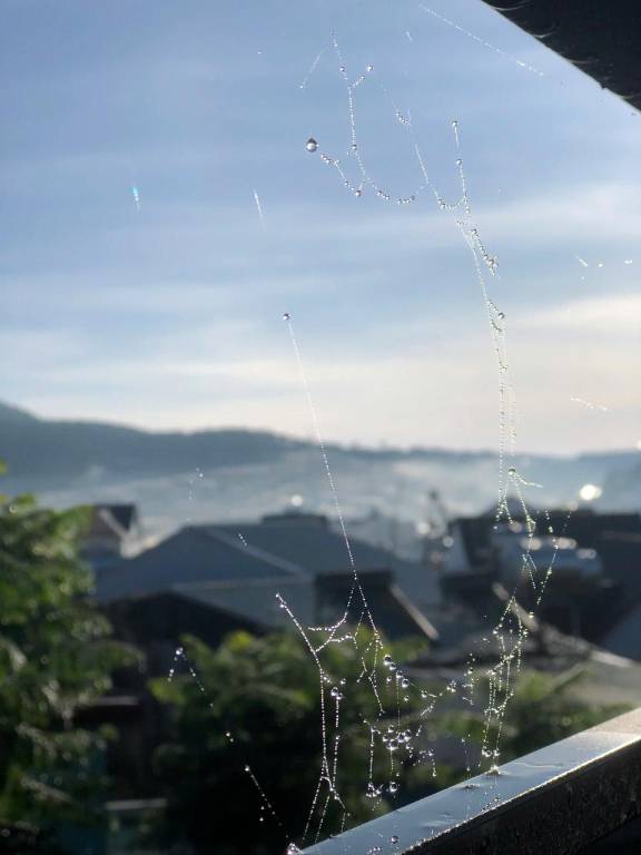 CHILL VILLA AND COFFEE DALAT — photo 5