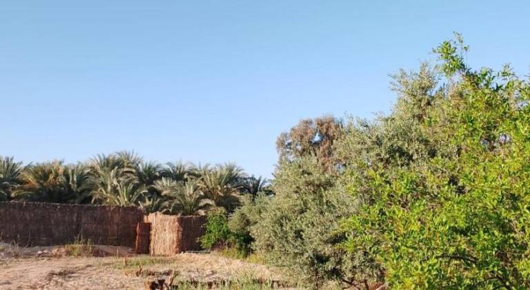 Golden shali house جولدن شالي هاوس — photo 3