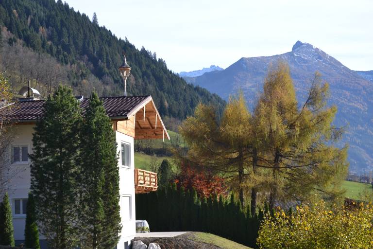 Ferienwohnung Gasteinertal