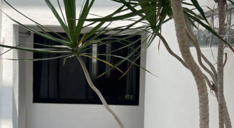 foto8