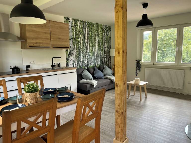 Ferienhaus  Neckarsteinach